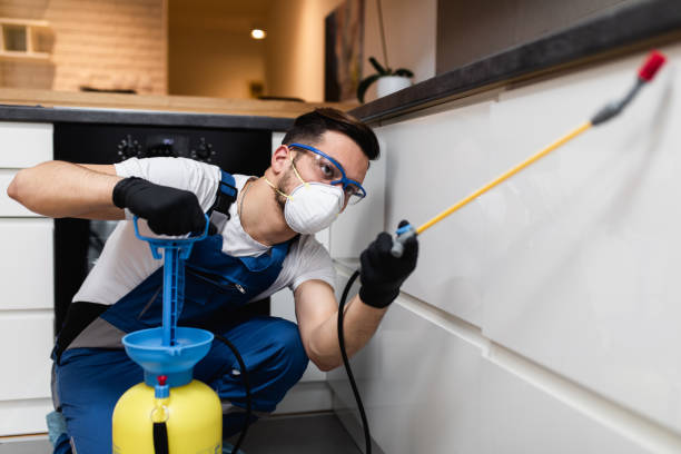 Best Residential Pest Control  in Middle Island, NY