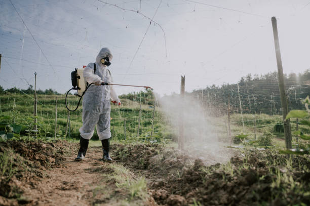 Best Pest Removal Services  in Middle Island, NY