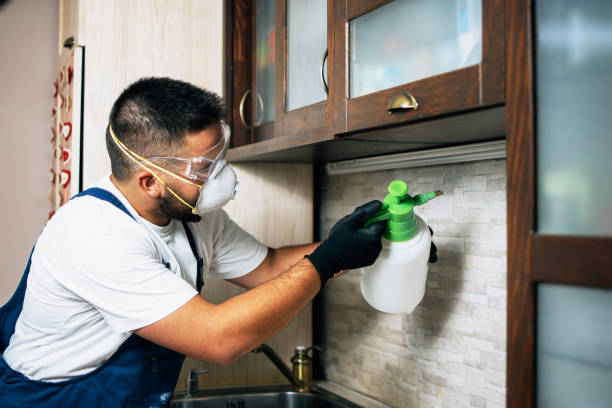 Best Emergency Pest Control  in Middle Island, NY