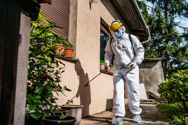 Best Pest Inspection Near Me  in Middle Island, NY