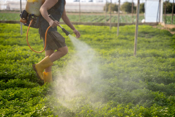 Professional Pest Control in Middle Island, NY