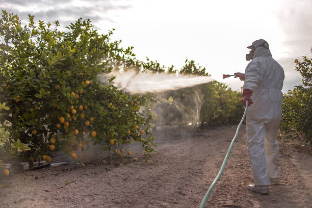 Best Cockroach Control Services  in Middle Island, NY